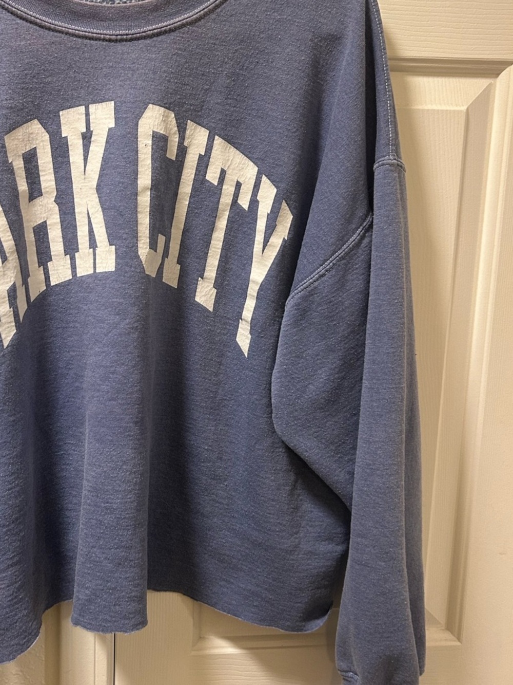 Altard State Crewneck Sweatshirt, Distressed/Faded Blue with White Lettering - Picture 3 of 3